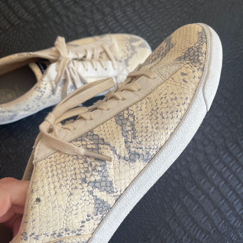 Cole Haan Beige-Crème & Gray Patterned Snake Skin Look Tie Up Sneaker SZ 10B